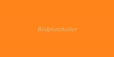 Platzhalter Bild4